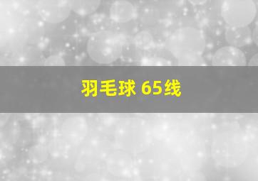 羽毛球 65线